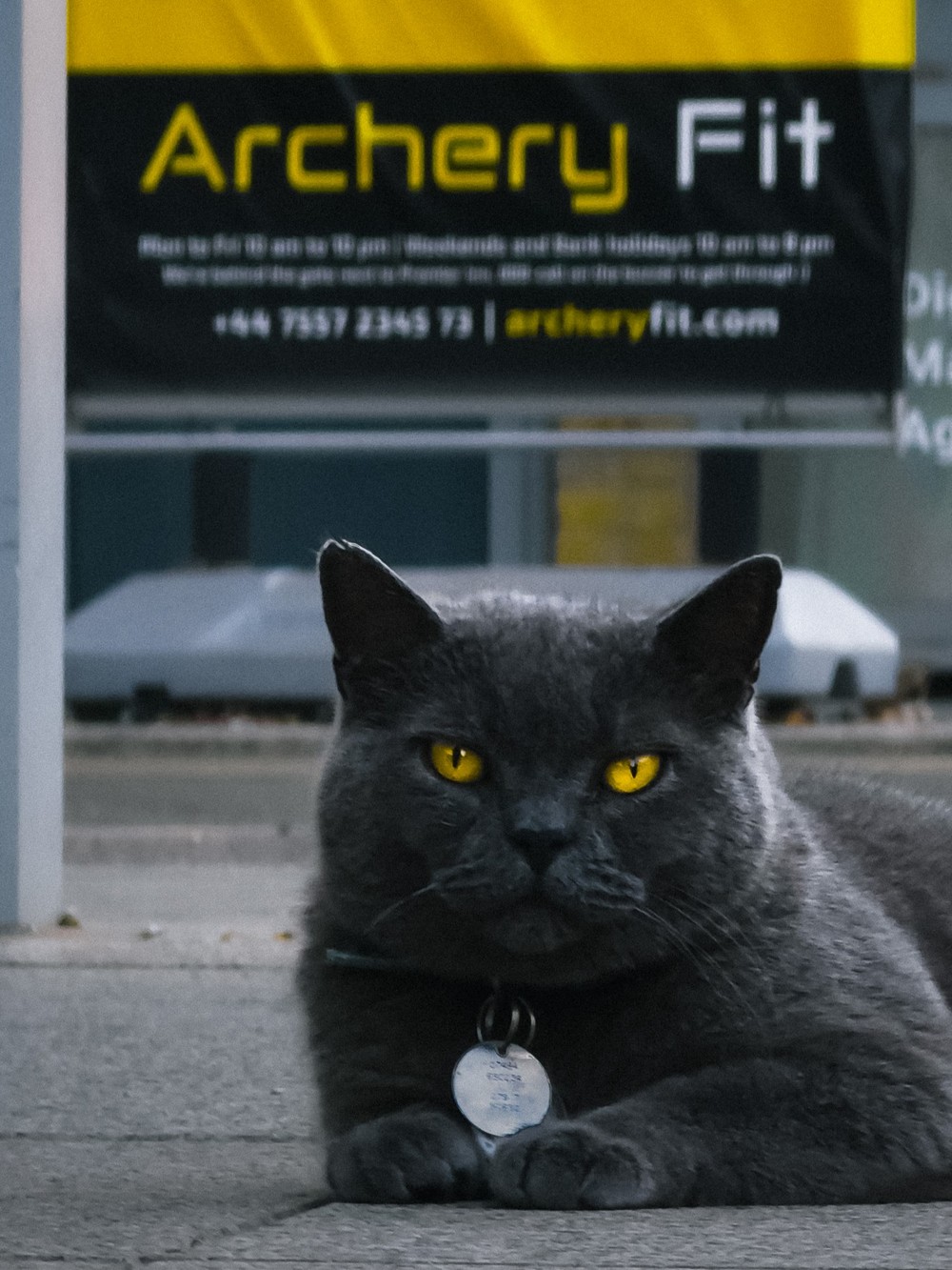 Our distinguished furry landmark Vinnie :)